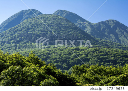 飯田高原の新緑と山 17249623