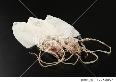 剣先スルメ 剣先スルメ 17250057