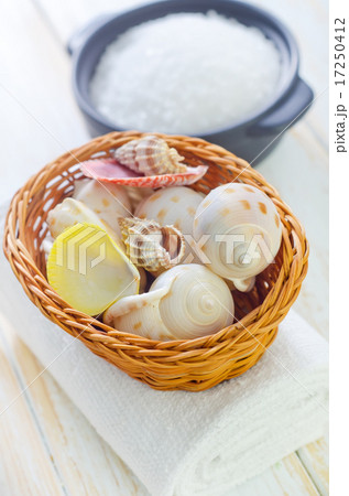 shells shells 17250412