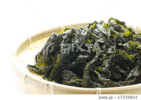 ワカメ4 ワカメ4 17250833
