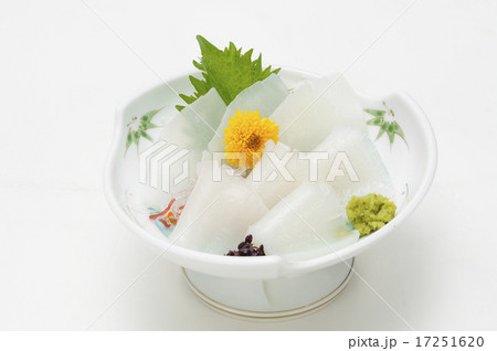イカの刺し身 17251620