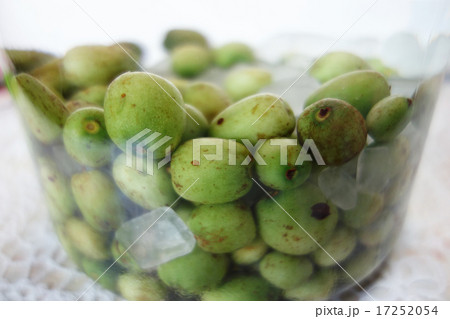 果実酒 サルナシ酒 果実酒 サルナシ酒 17252054