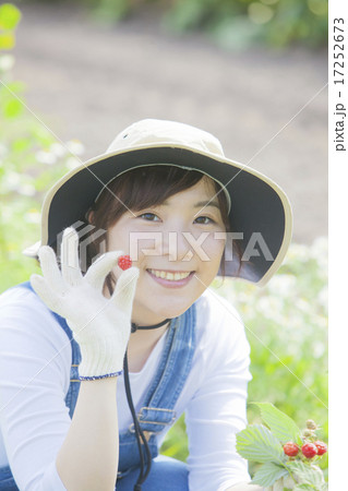 ラズベリー摘み 17252673