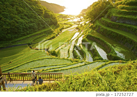 棚田の夕景 17252727