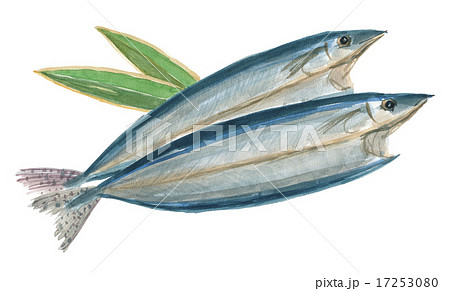 さんま開き 17253080