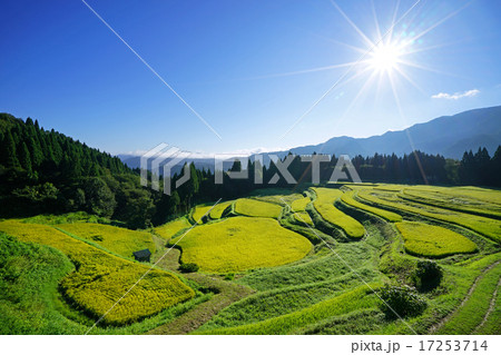 昇る太陽と うへ山の棚田 17253714