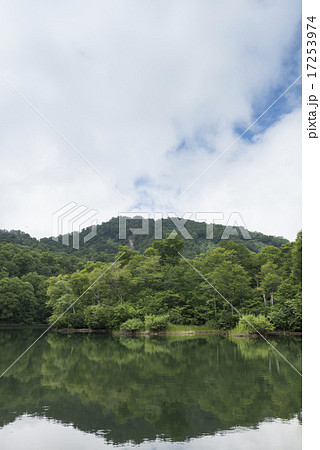 鎌池 鎌池 17253974