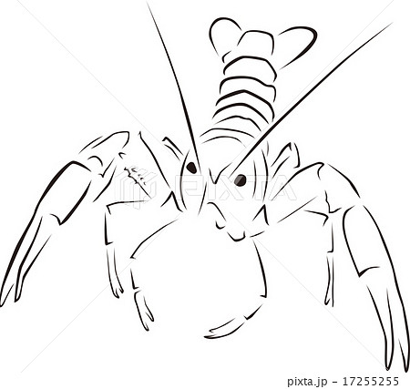 ザリガニのイラスト素材