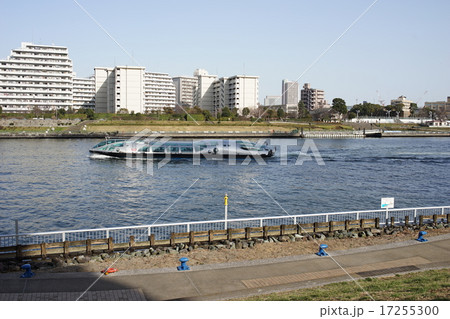 中央大橋 中央大橋 17255300