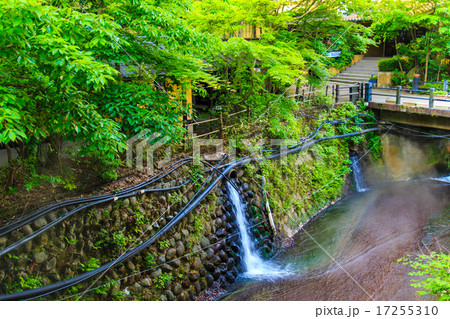 早朝の筋湯温泉 17255310