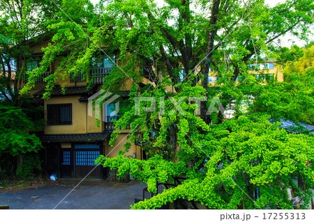 早朝の筋湯温泉 17255313