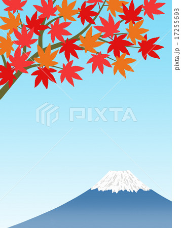 もみじと富士山 17255693