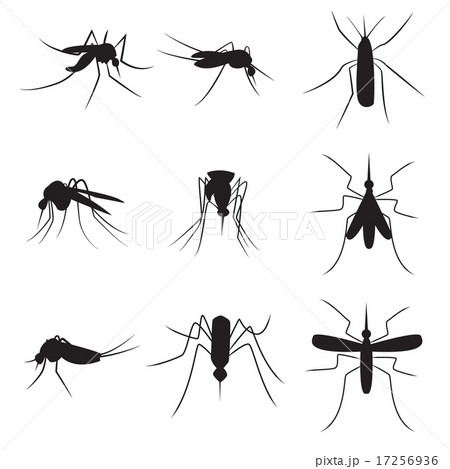 Set of black silhouette carrier mosquitoes 17256936
