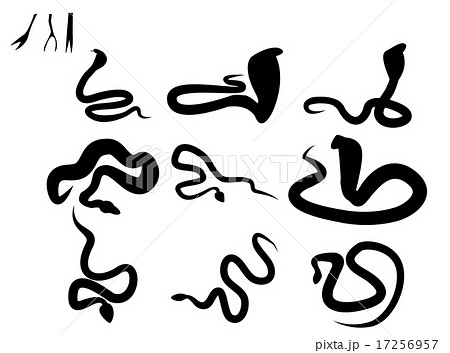 Set of black silhouette snake and snake tongue 17256957