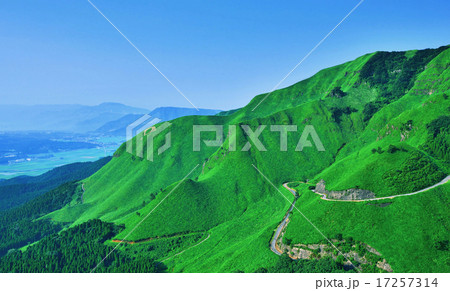 緑の山のワインディングロード/阿蘇/熊本 17257314