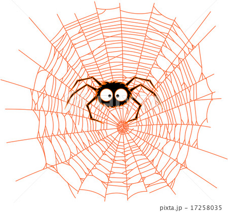 Spider 17258035