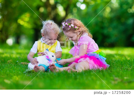 Kids playing with pet rabbit 17258200