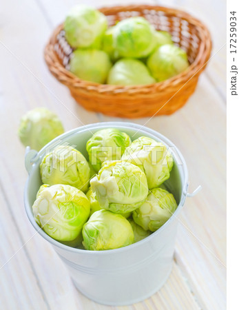 brussel cabbage brussel cabbage 17259034