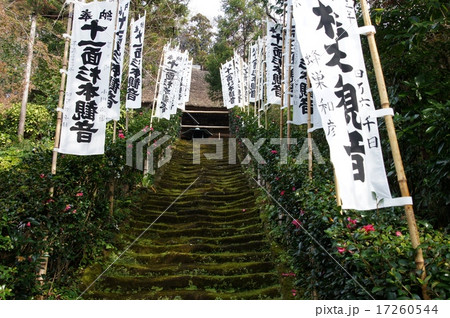 鎌倉 杉本寺 苔の階段の写真素材