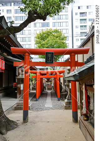 大阪天満宮白米稲荷 大阪天満宮白米稲荷 17260667