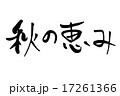 秋の恵み　筆文字 17261366