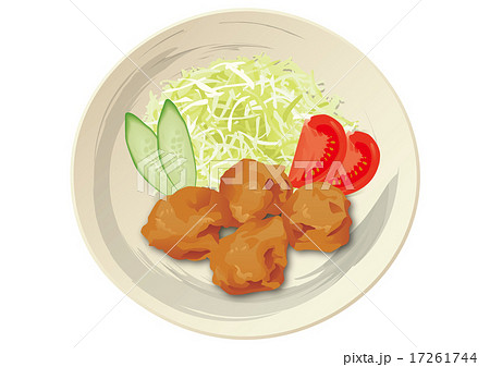 唐揚げ 17261744
