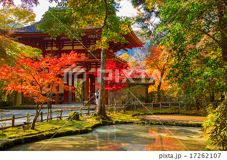 室生寺の紅葉 仁王門 室生寺の紅葉 仁王門 17262107