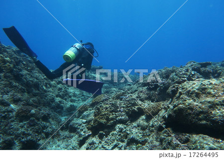 海中を泳ぐダイバー 海中を泳ぐダイバー 17264495