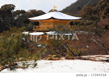 金閣寺9 17264538