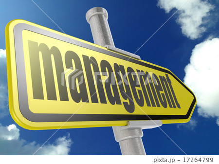 Yellow road sign with management word Yellow road sign with management word 17264799