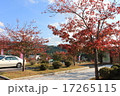 温泉の紅葉 17265115