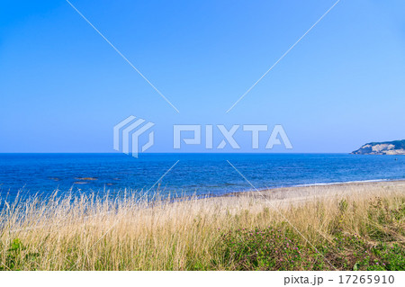 夏の能登半島　三ツ子浜海岸 17265910