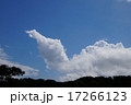 すっぽんのような形をした雲 17266123