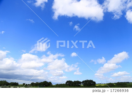 青空 17266936