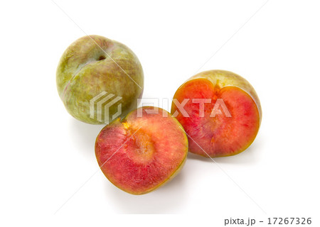 ソルダム ソルダム 17267326