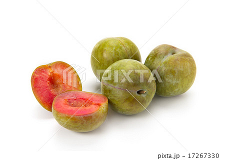 ソルダム 17267330