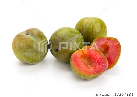 ソルダム 17267331