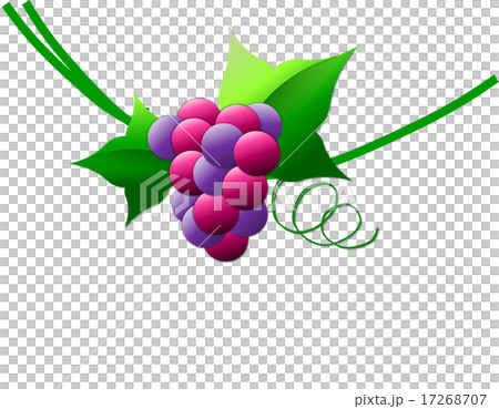 Grape grapes 17268707