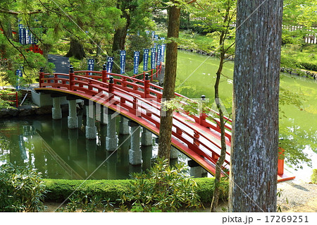高野山　金剛峯寺　蓮池 17269251