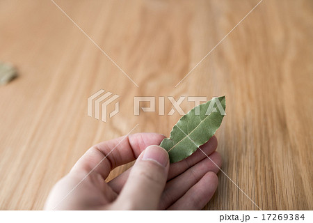 ローレル ローレル 17269384