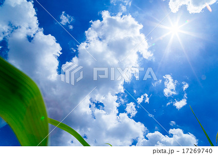 空 光芒 日差し 日光 青い空 南国 コピースペース 背景用素材 テキストスペース の写真素材