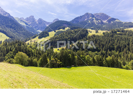 View on the Alps, Switzerland View on the Alps, Switzerland 17271464