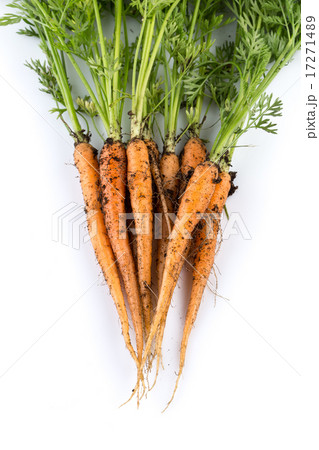 freshly picked carrots freshly picked carrots 17271489