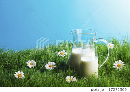 Milk jug and glass on flower field 17272506