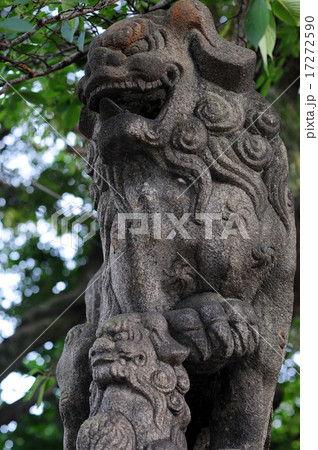 豊崎神社の狛犬-1 17272590