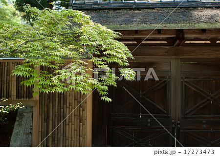 修学院離宮　中離宮 17273473