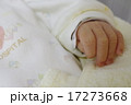 新生児写真 17273668