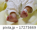 新生児写真 17273669