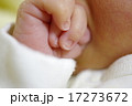 新生児写真 17273672