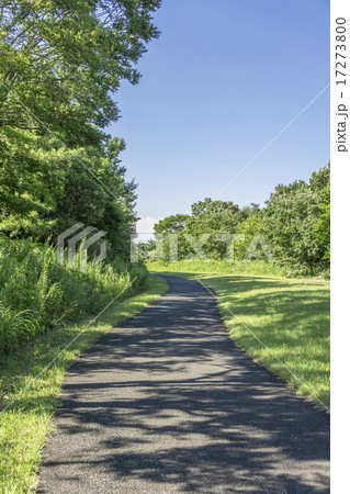 一本の道 17273800